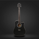 Акустическая гитара PARKSONS JB4111C (Black) - фото 1