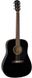 Акустична гітара FENDER CD-60S BLACK WN - фото 1