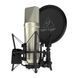 Микрофон студийный BEHRINGER TM1 - фото 1