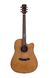 Электроакустическая гитара Prima DSAG219CEQ4 E-Acoustic Guitar - фото 1
