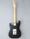 Електрогітара FGN BST-M/BK ODYSSEY BOUNDARY SERIES (Black) - фото 2