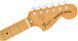 Електрогітара FENDER VINTERA '70s Telecaster Deluxe MN Mocha - фото 4