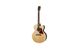 Електро-акустична гітара Gibson J-185 EC Modern Rosewood Antique Natural - фото 1