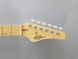 Електрогітара FGN BST-M/BK ODYSSEY BOUNDARY SERIES (Black) - фото 6