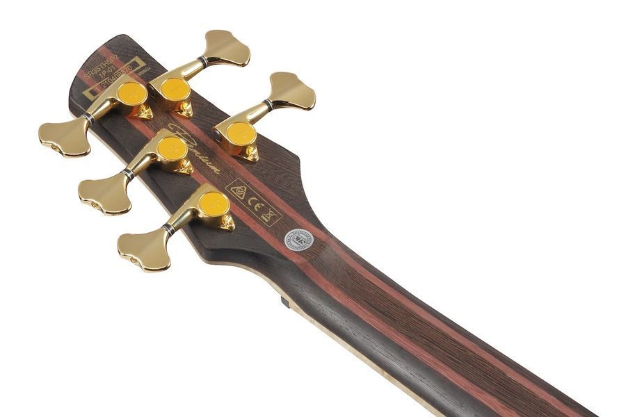Бас-гітара Ibanez SR5FMDX-EGL