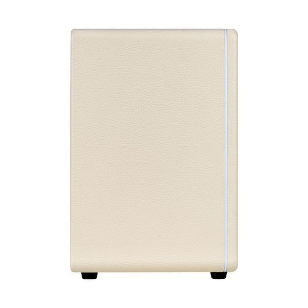 Комбопідсилювач Mooer Hornet 30i (White)