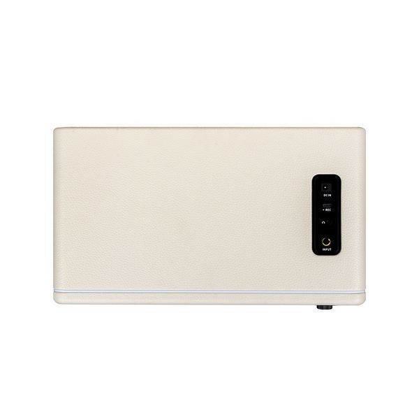 Комбопідсилювач Mooer Hornet 30i (White)