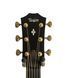 Электроакустическая гитара Taylor Guitars 324ce Builders Edition - фото 5