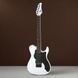 Електрогітара баритон FGN JIL3-ASH-DE664R Iliad Dark Evolution Series (Open Pore White) з чохлом - фото 1