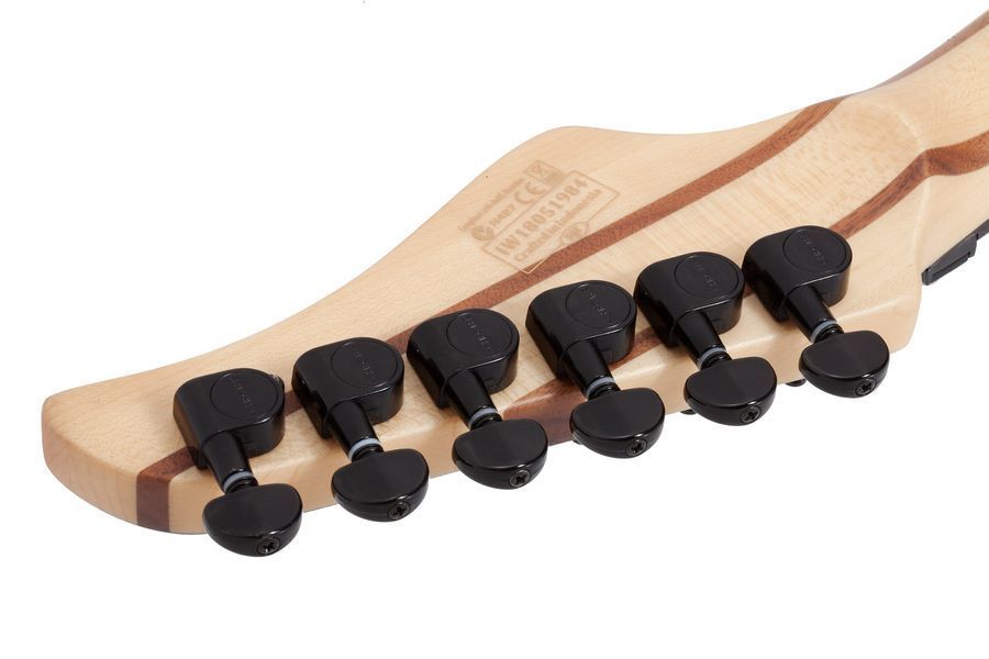 Електрогітара Schecter Reaper-6 FR Skyburst