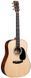 Електроакустична гітара Martin D-12E FG Sit/Sap w/soft  - фото 1