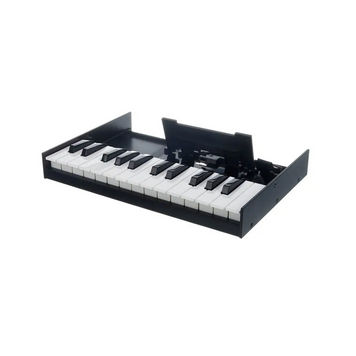 Клавіатура Roland K-25m