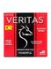 Струны для электрогитары DR Strings Veritas Coated Core Electric Guitar Strings - Light to Medium (9-46) - фото 1