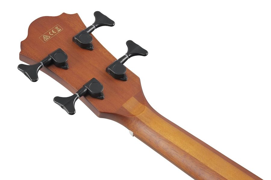 Бас-гітара Ibanez AEGB24E-BKH