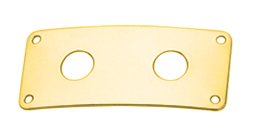 Роз'єм-планка PAXPHIL HJ006 GD Double Jack Plate (Gold)