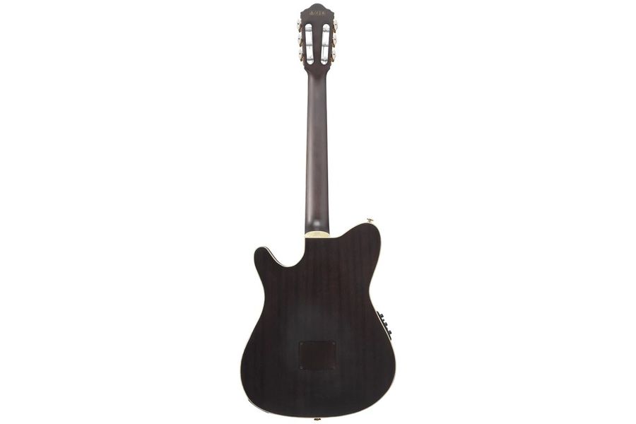 Классическая гитара Ibanez TOD10N-BKF