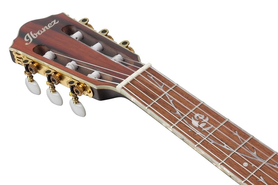Классическая гитара Ibanez TOD10N-BKF