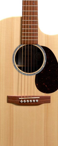 Электроакустическая гитара Martin GPC-X2E Cocobolo Sit/Coco HPL w/Gig Bag