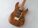 Електрогітара FGN EOS2-DU-EW2-RM ODYSSEY EXPERT SERIES (Vintage Natural) з кейсом - фото 4