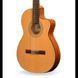 Класична гітара Camps NAC-1 ECO - фото 2