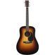 Електроакустична гітара Martin D-10E Burst - фото 1