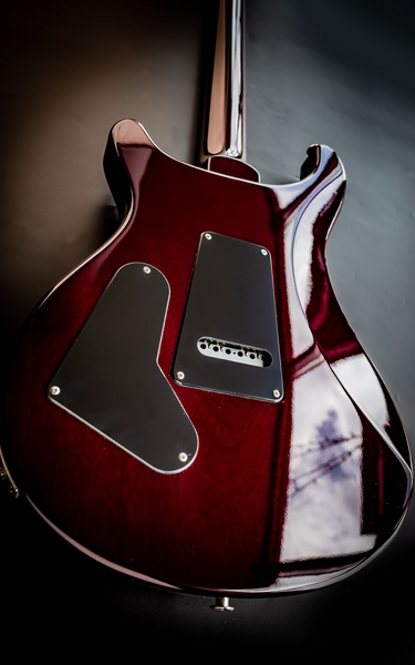 Електрогітара PRS S2 CUSTOM 24 (Purple) #S2070944