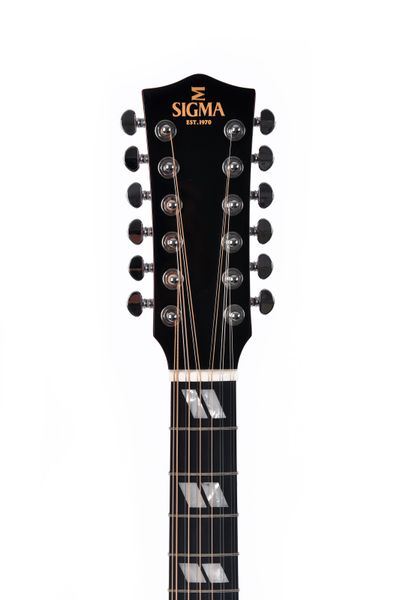 12-струнна акустична гітара Sigma DM12-SG5