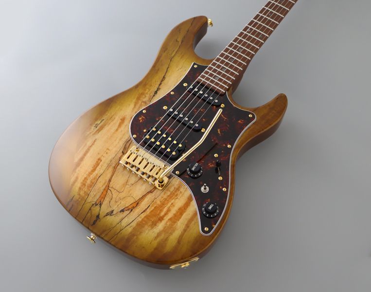 Електрогітара FGN EOS2-EW1-RM ODYSSEY EXPERT SERIES (Hojicha Burst) з кейсом