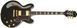 Полуакустическая электрогитара EPIPHONE SHERATON - II PRO EBONY - фото 1