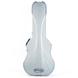 Кейс для гітари ROCKCASE RC ABS 10509S Premium Line - Acoustic Guitar ABS Case, curved - Silver - фото 1