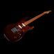 Електрогітара Godin Guitars Session T-Pro Ltd Kanyon Burst MN - фото 12