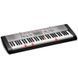 Синтезатор Casio LK-130 - фото 2