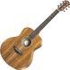 Электроакустическая гитара Taylor Guitars GS Mini-e Koa - фото 2