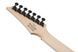 Электрогитара Ibanez RG7421EX BKF - фото 6
