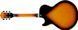 Электрогитара IBANEZ AG75G BS - фото 3