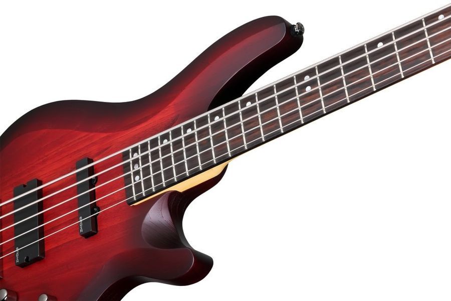 Бас-гітара Schecter C-5 Custom TCS