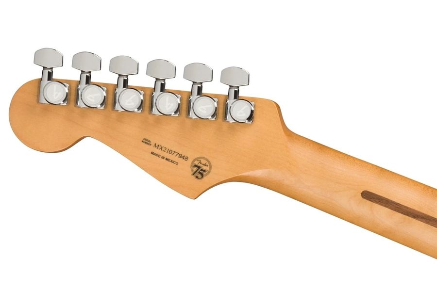Електрогітара Fender Player Plus Stratocaster MN OLP