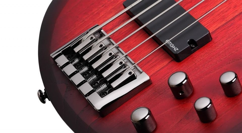 Бас-гітара Schecter C-5 Custom TCS