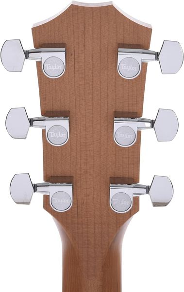 Електро-акустична гітара Taylor Guitars 110CE-S