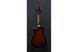 Электрогитара Ibanez AG95QA-DBS - фото 2