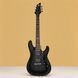 Електрогітара C-1 SGR FR By Schecter BLK - фото 1