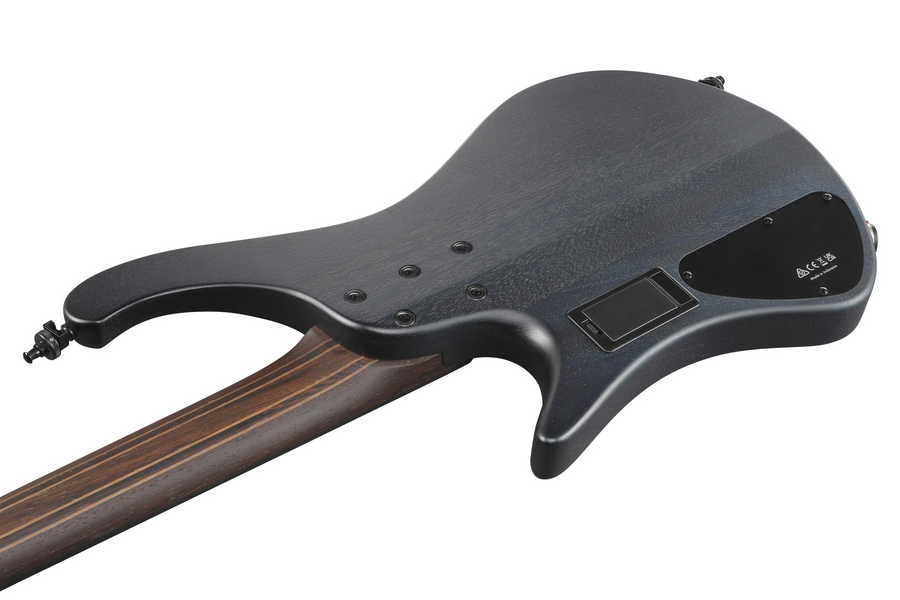 Бас-гитара Ibanez EHB1500 CTF