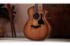 Электроакустическая гитара TAYLOR GUITARS 314ce Studio Shaded Edgeburst с кейсом - фото 14
