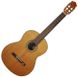Классическая гитара Salvador Cortez CC-10 - фото 3