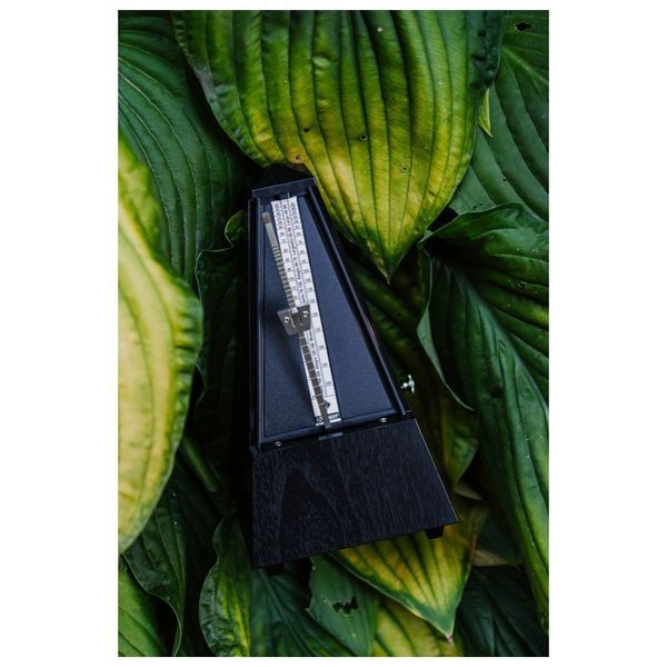 Метроном Wittner Malzel Pyramid 855161 Black