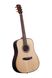 Акустическая гитара Prima DSAG215 Acoustic Guitar - фото 2