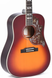Акустическая гитара Sigma SDM-SG5 Limited Series - фото 1