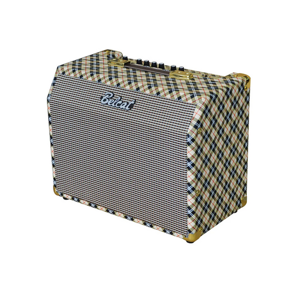 Комбоусилитель Belcat Acoustic25RC