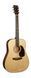 Электроакустическая гитара Martin D-16E-02 Mahogany с чехлом - фото 1