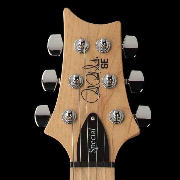 Електрогітара PRS SE Swamp Ash Special (Charcoal)